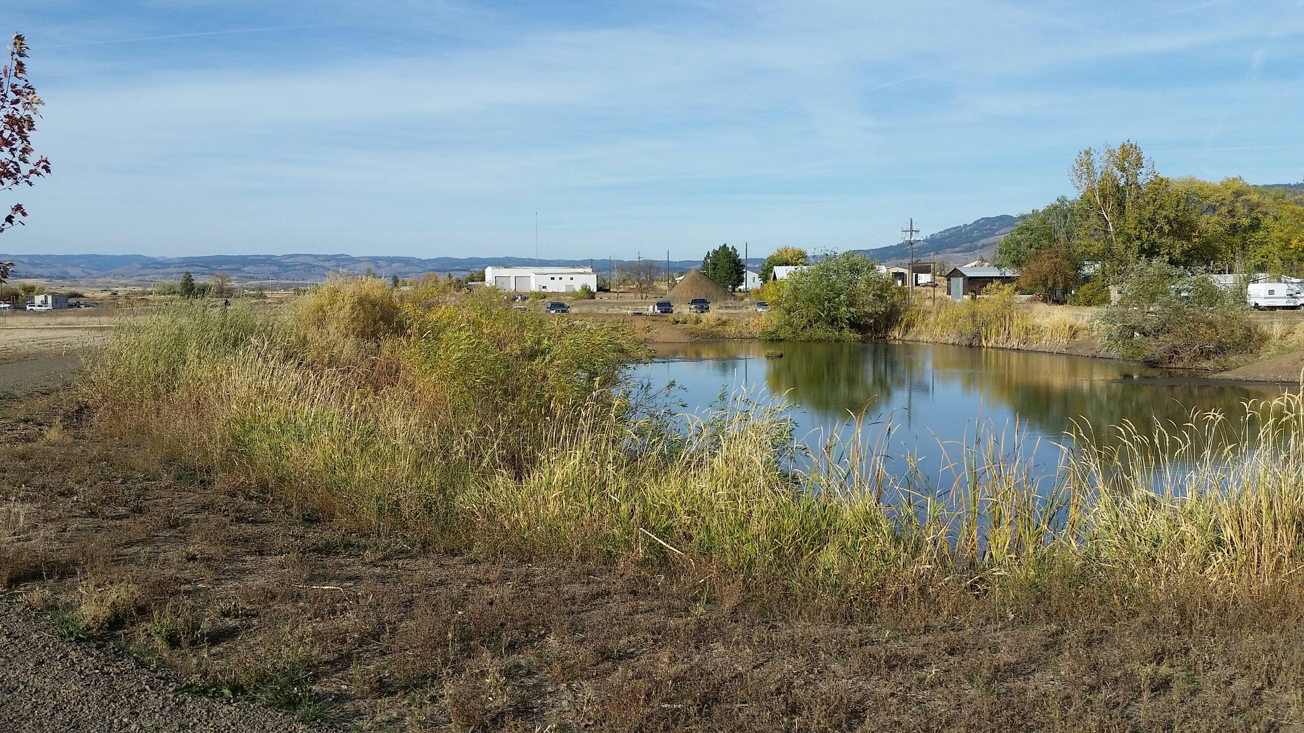 Council Pond Project