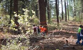 Middle School Field Science Day