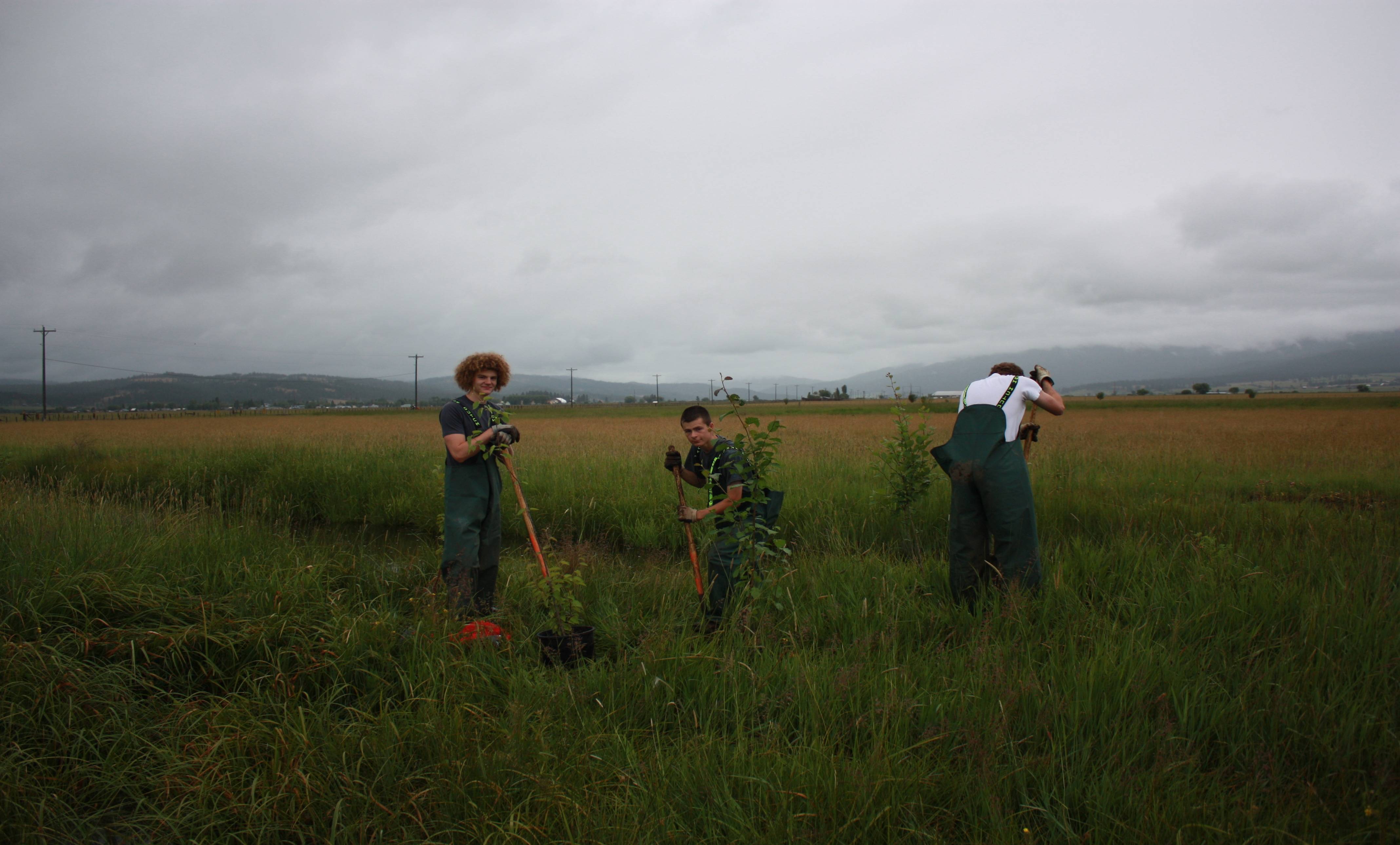 Idaho Fish and Wildlife Foundation, Lightfoot Foundation, TU project done